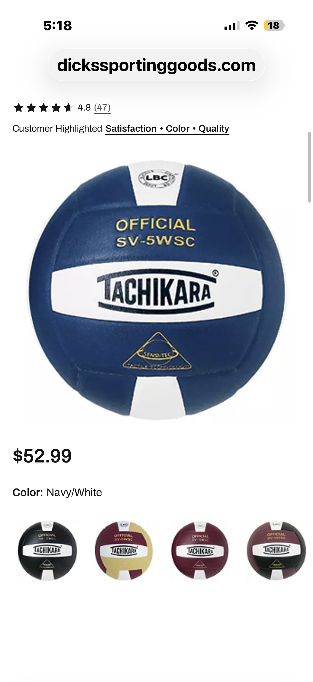 Tachikara Full Grain Leather Volleyball SV-5WSC
