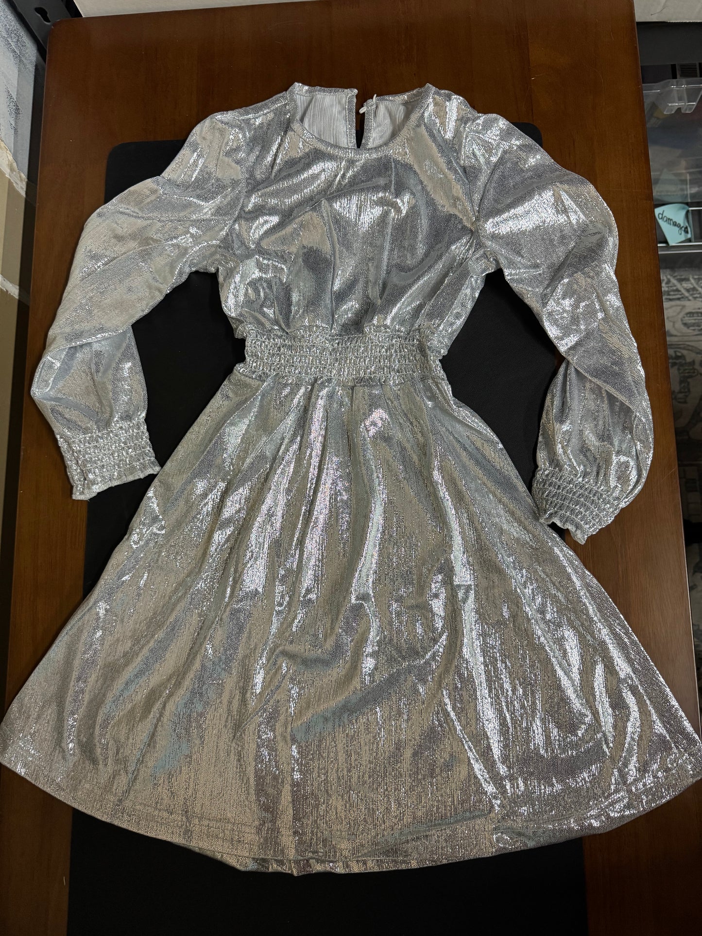 Windecho Silver Dress Girls Costume (Size 8-9 years)