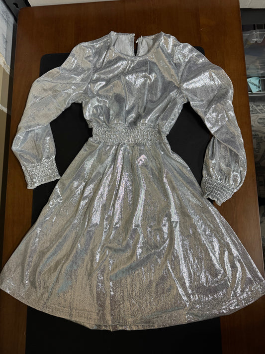 Windecho Silver Dress Girls Costume (Size 8-9 years)