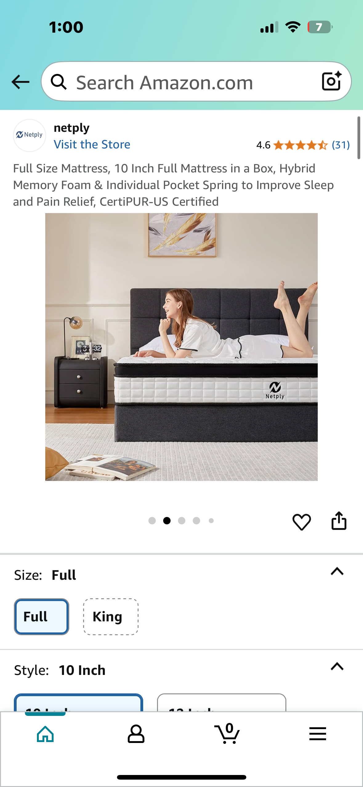 Full Size Mattress (B1063)