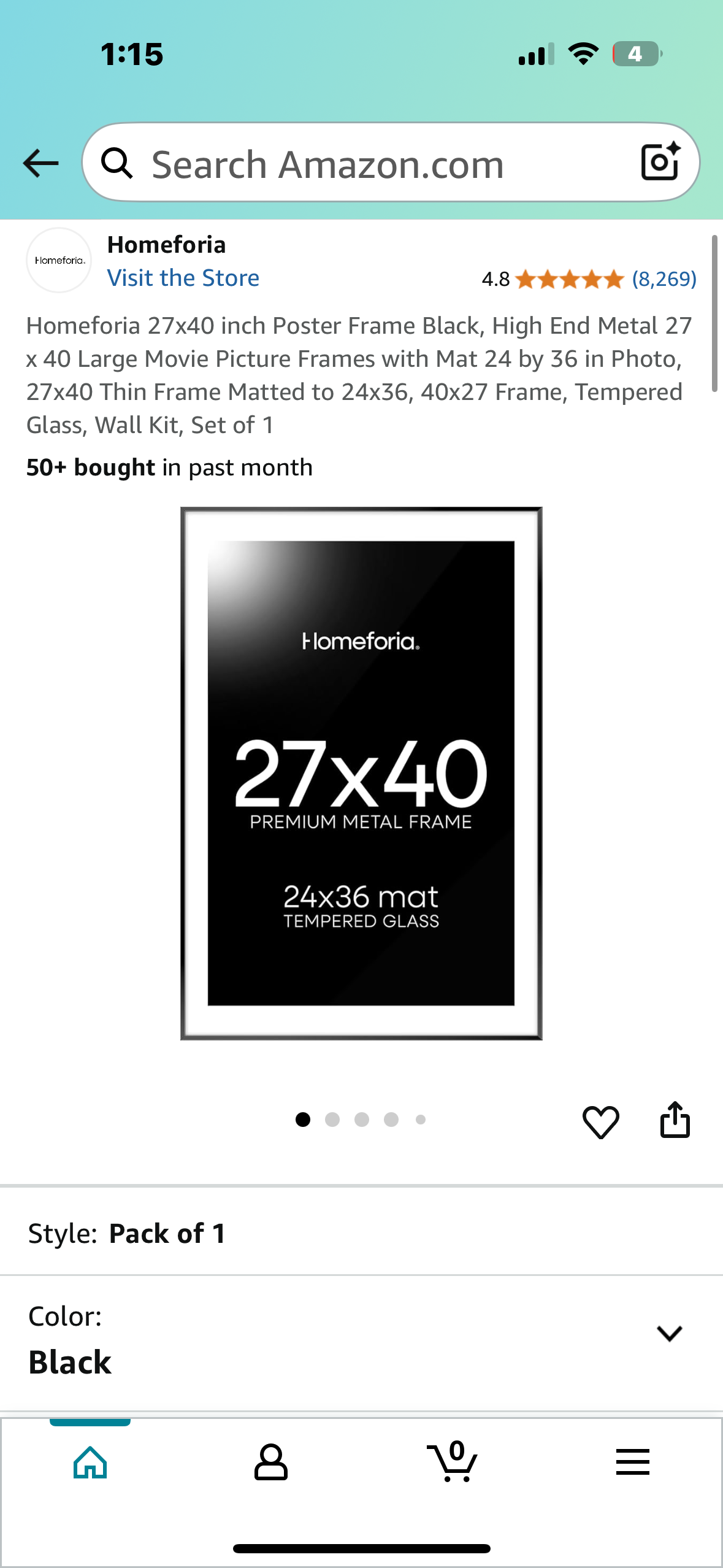 Homeforia 27x40 inch Frame, High End Metal Frame with Mat, Tempered Glass, Wall Kit, Set of 1 (L991)