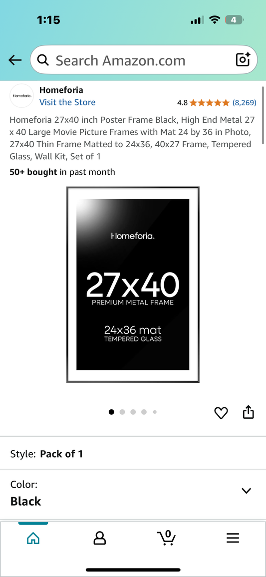 Homeforia 27x40 inch Frame, High End Metal Frame with Mat, Tempered Glass, Wall Kit, Set of 1 (L991)