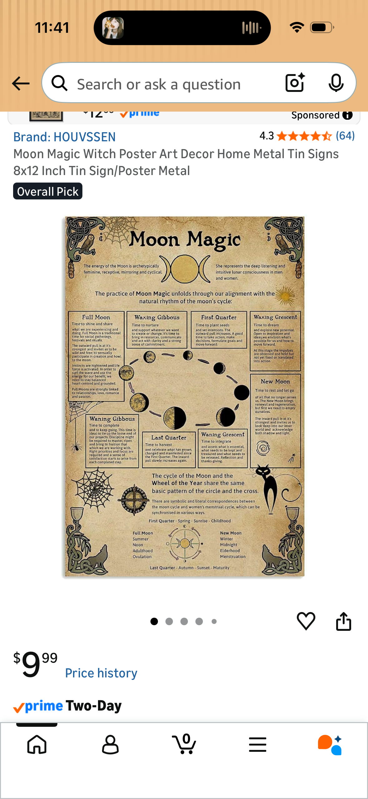 Moon Magic Witch Poster Art Decor Home Metal Tin Signs 8x12 Inch Tin Sign/Poster Metal