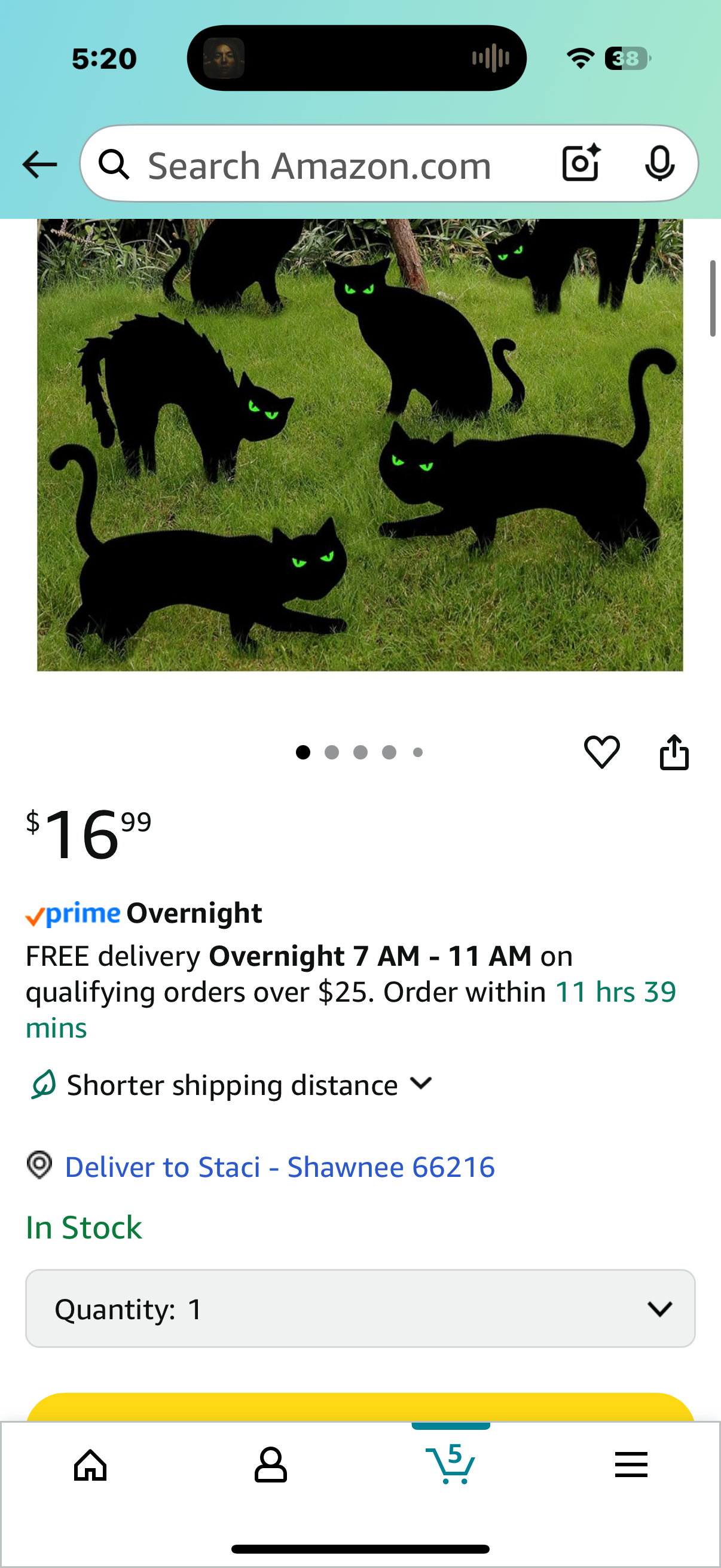 Halloween Decorations Outdoor, 6ct Black Cat Decor Yard Signs with Stakes, Scary Silhouette with Glow in Dark Eyes, Corrugated Plastic, Waterproof Lawn Decorations for Kids Family Home Party