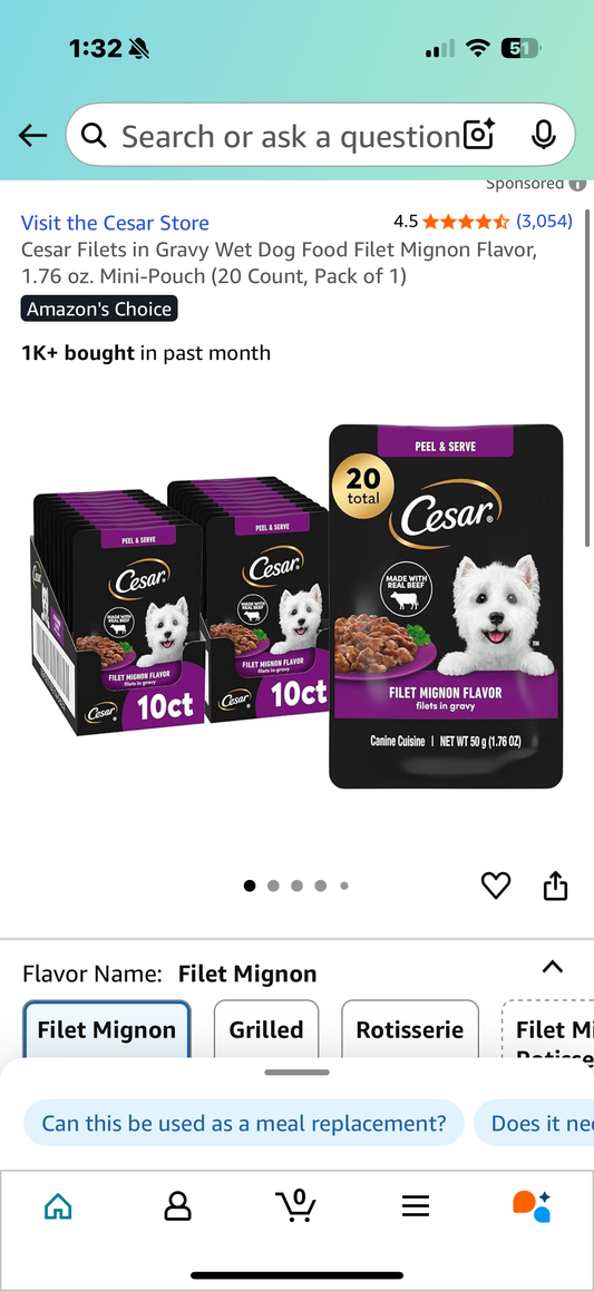 Cesar Filets in Gravy Wet Dog Food Filet Mignon Flavor, 1.76 oz. Mini-Pouch (17 not 20 Count)