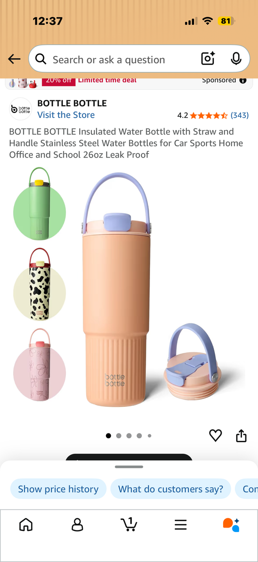 BOTTLE BOTTLE Insulated Water Bottle with Straw and Handle Stainless Steel Water Bottles for Car Sports Home Office and School 26oz Leak Proof