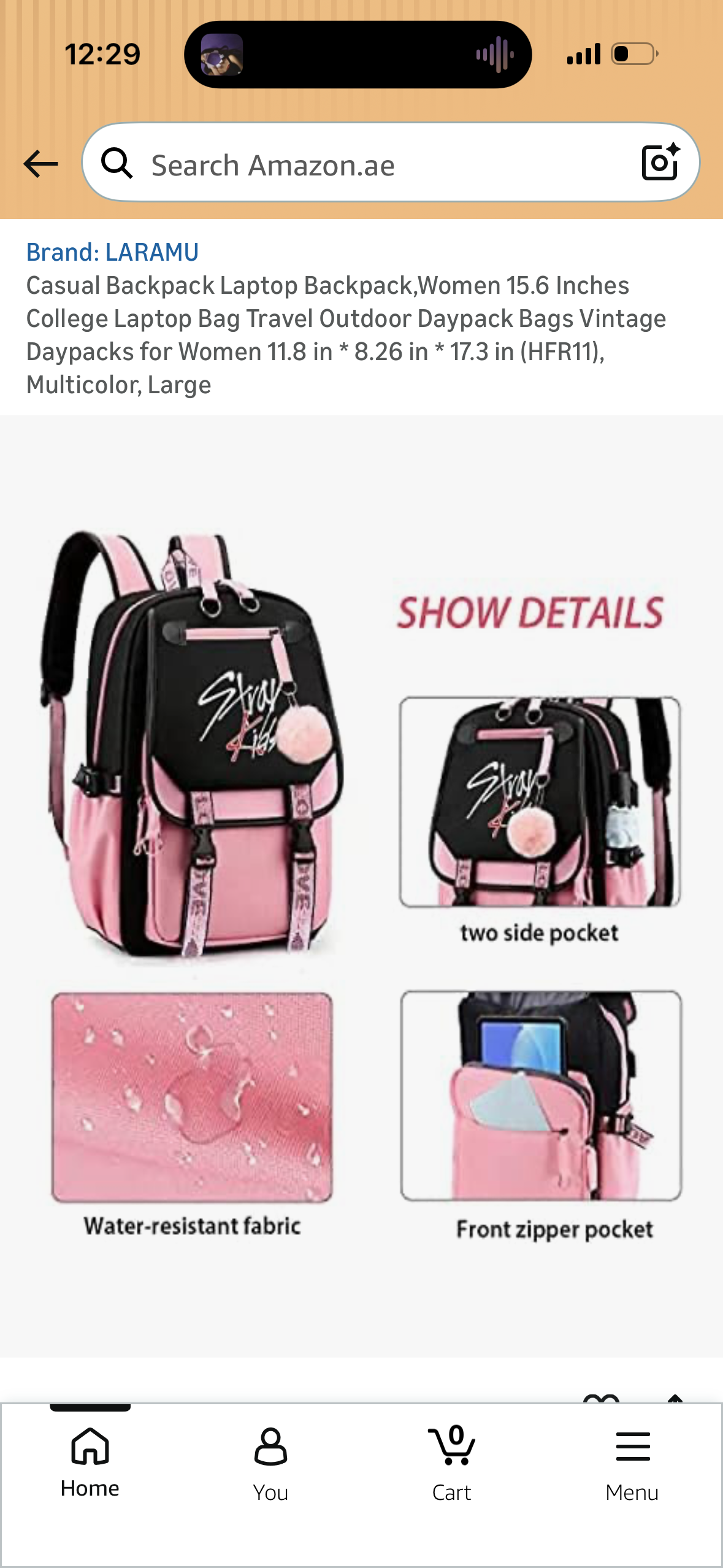 Casual Backpack Laptop Backpack,Women 15.6 Inches College Laptop Bag Travel Outdoor Daypack Bags Vintage Daypacks for Women 11.8 in * 8.26 in * 17.3 in (HFR11)