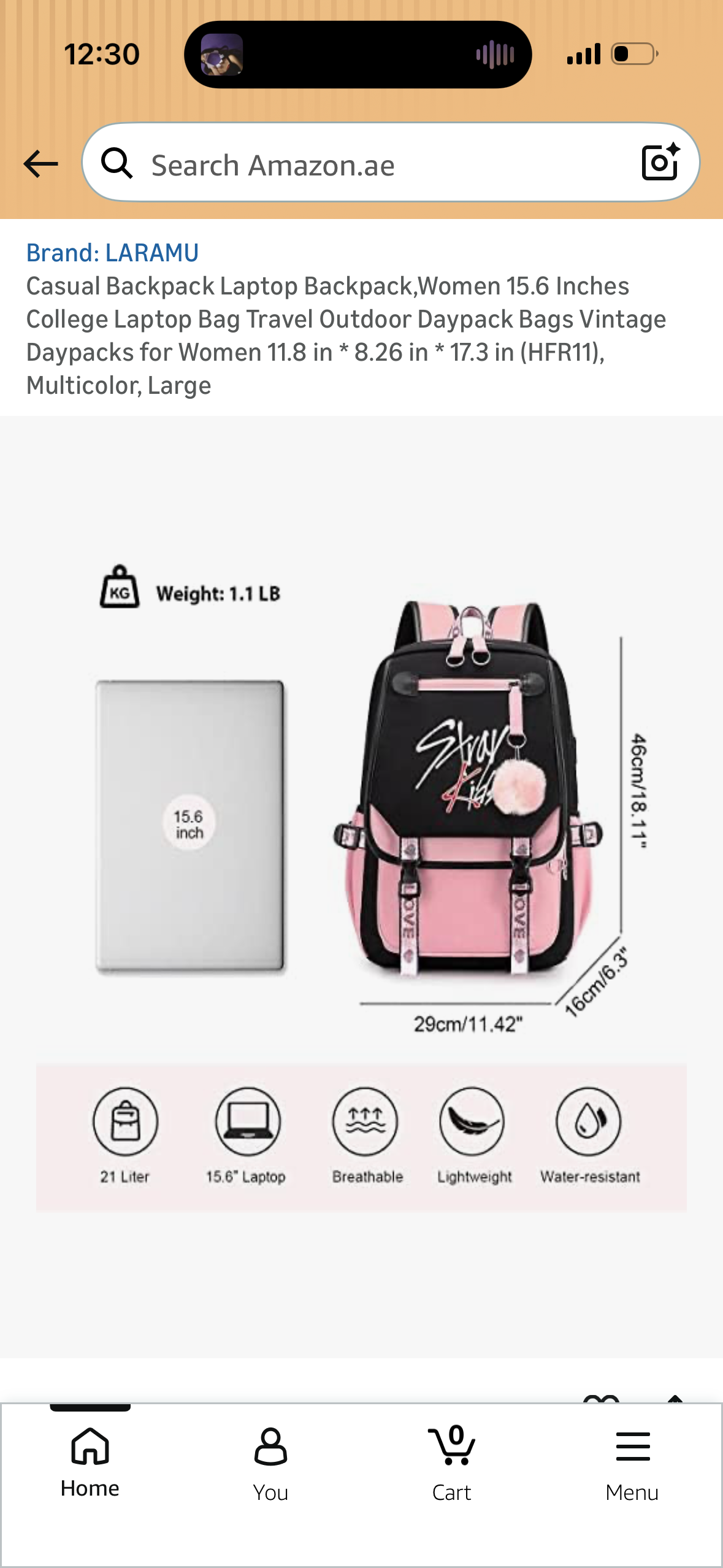 Casual Backpack Laptop Backpack,Women 15.6 Inches College Laptop Bag Travel Outdoor Daypack Bags Vintage Daypacks for Women 11.8 in * 8.26 in * 17.3 in (HFR11)