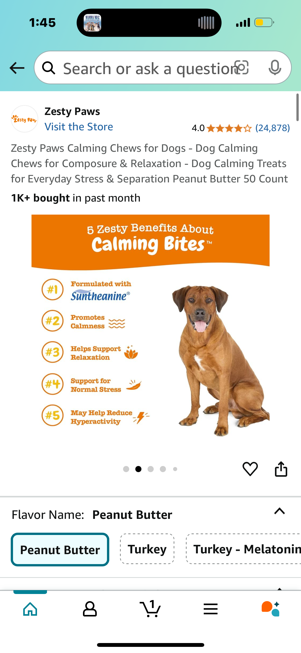 Zesty Paws Calming Chews for Dogs - Dog Calming Chews for Composure & Relaxation - Dog Calming Treats for Everyday Stress & Separation Peanut Butter 50 Count