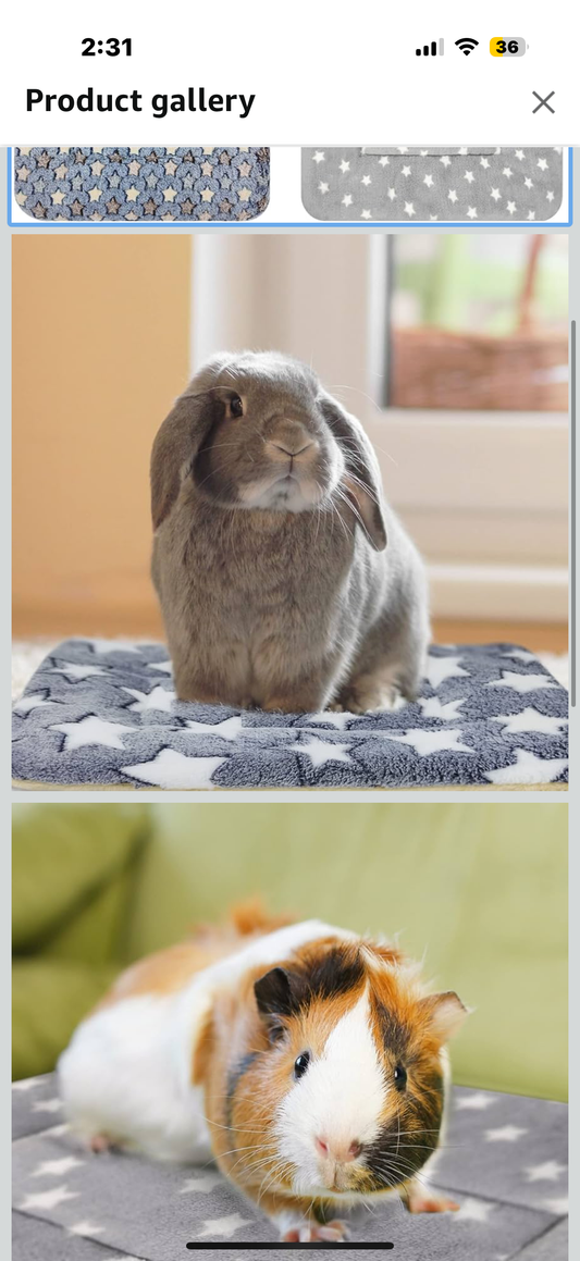 Guinea Pig Bed Soft Rabbit Bedding Cage Liner Warm Bunny Mats Pee Pads Fleece Blanket Plush Hamster Sleep Beds Ferret Squirrel Hedgehog Rat