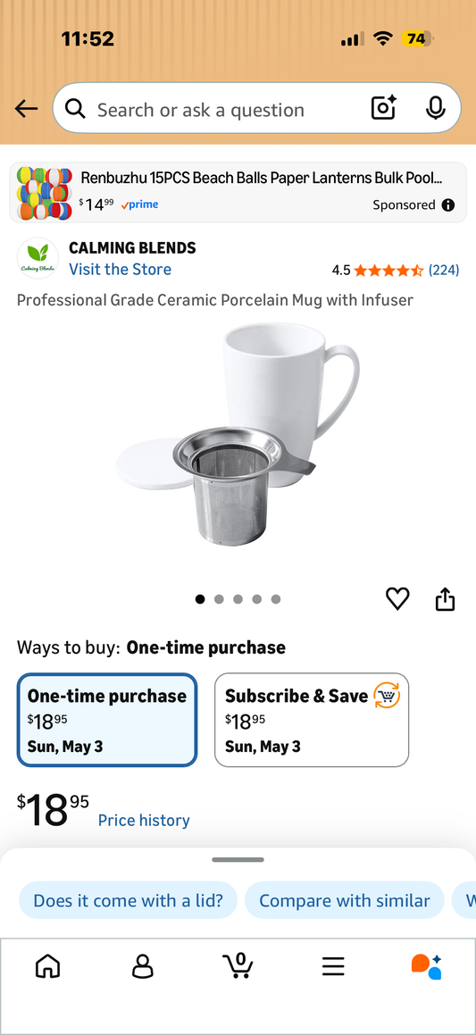 Professional Grade Ceramic Porcelain Mug with Infuser