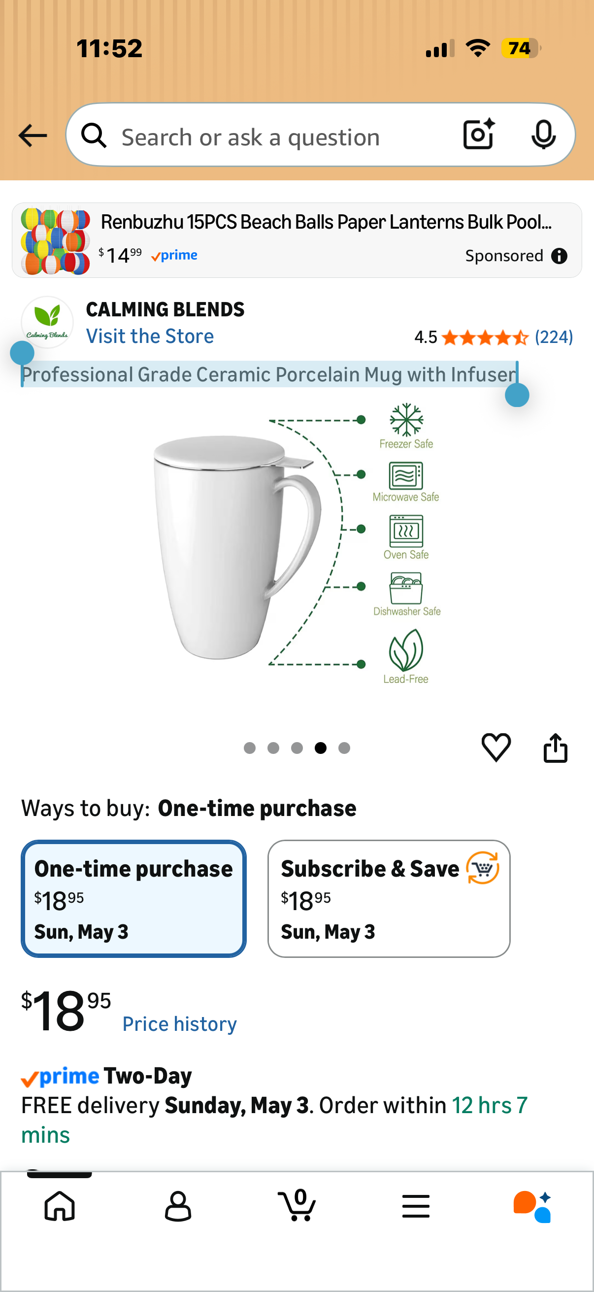 Professional Grade Ceramic Porcelain Mug with Infuser