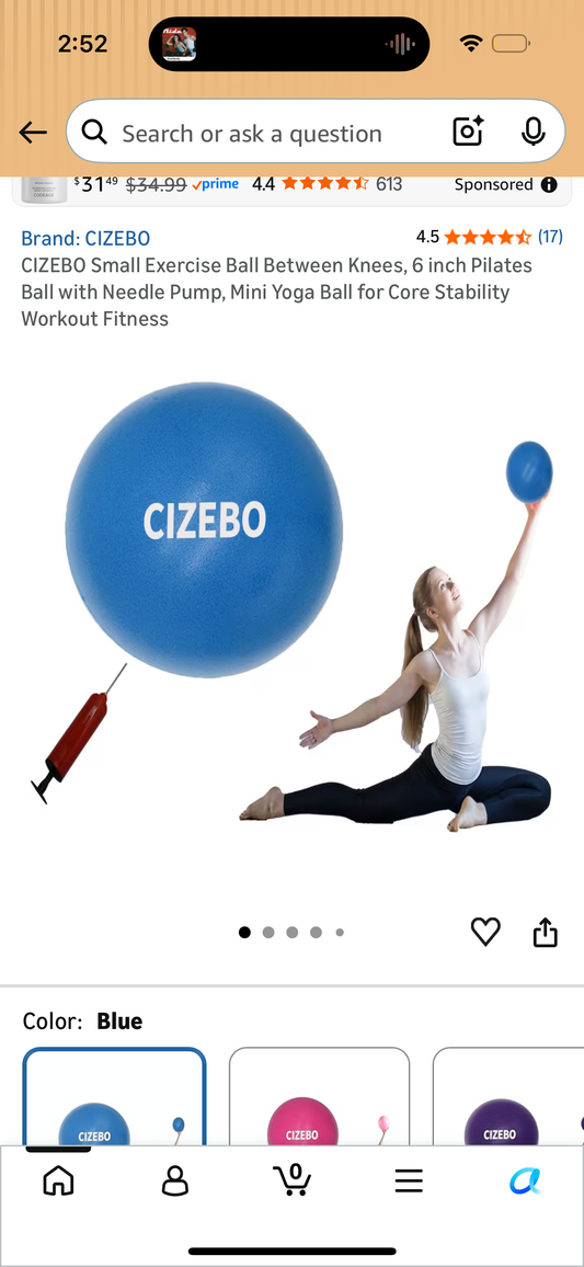 Exercise Ball Small, 6 inch Core Ball for Pilates with Pump, 6 in Barre Ball, 6" Stability Ball Mini Yoga Ball for Women Workout Fitness Physical Therapy PT, Blue