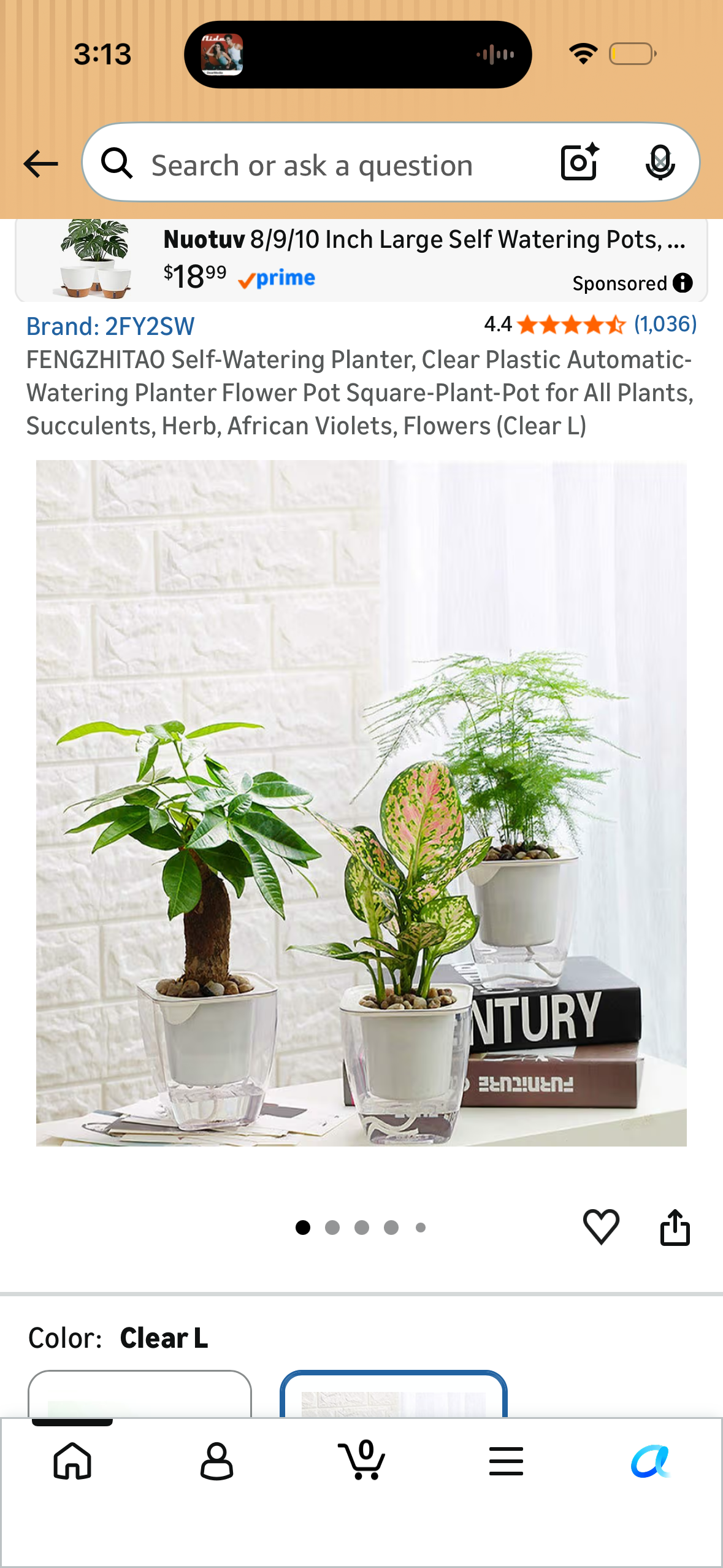 FENGZHITAO Self-Watering Planter, Clear Plastic Automatic-Watering Planter Flower Pot Square-Plant-Pot for All Plants, Succulents, Herb, African Violets, Flowers (Clear L)
