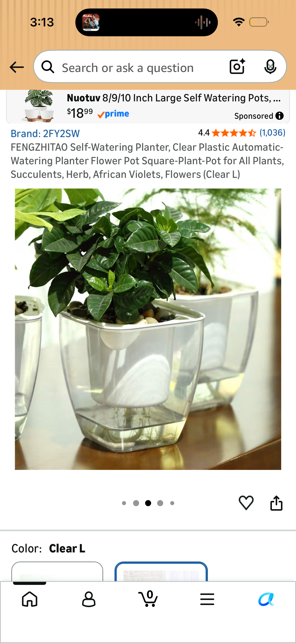 FENGZHITAO Self-Watering Planter, Clear Plastic Automatic-Watering Planter Flower Pot Square-Plant-Pot for All Plants, Succulents, Herb, African Violets, Flowers (Clear L)