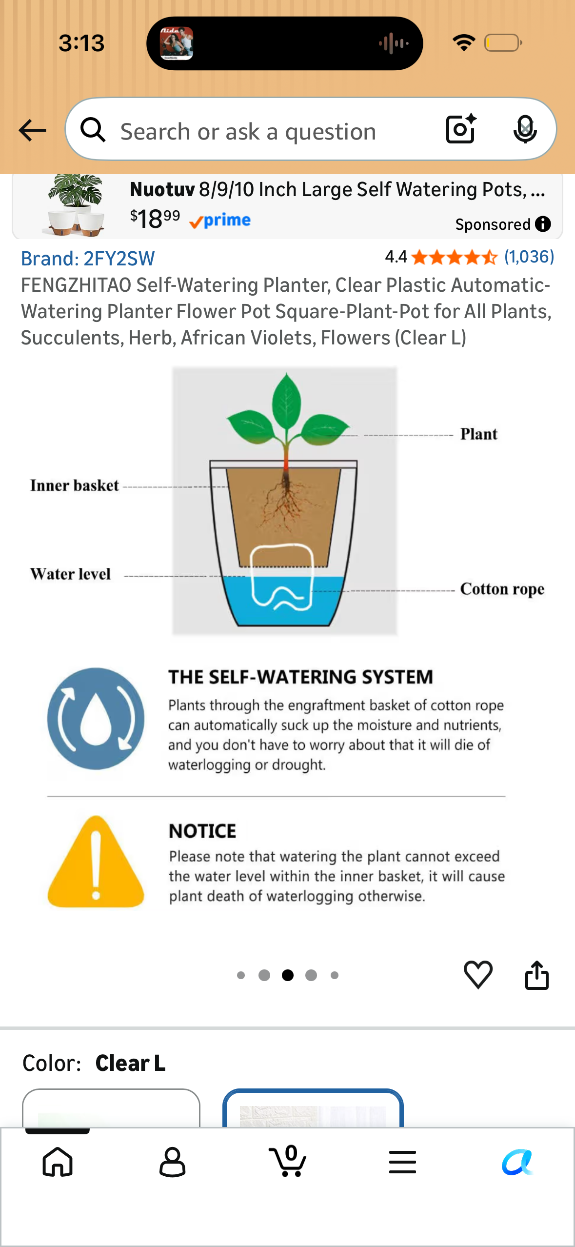 FENGZHITAO Self-Watering Planter, Clear Plastic Automatic-Watering Planter Flower Pot Square-Plant-Pot for All Plants, Succulents, Herb, African Violets, Flowers (Clear L)