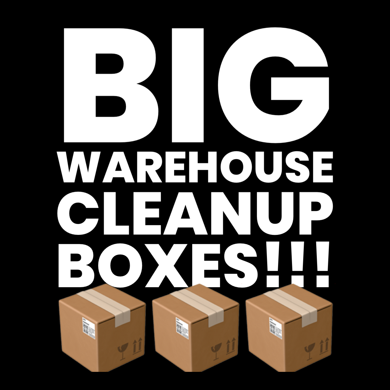 ***BIG Warehouse Cleanup Mystery Boxes***