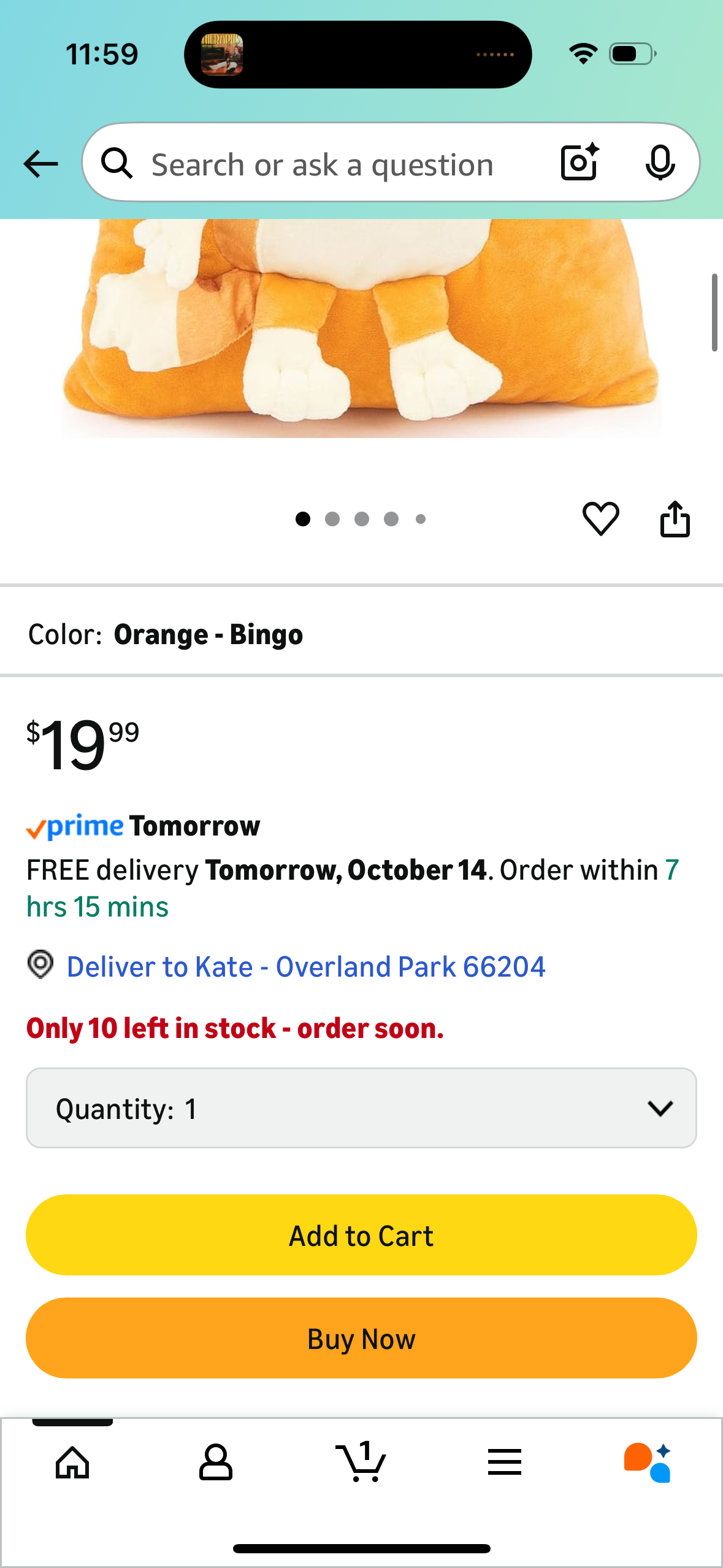 Bluey Bingo Snuggle Pillow - Super Soft Plush Decorative Throw Pillow – Measures 13 Inches (Official Product)