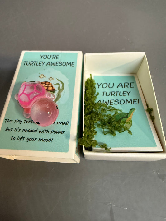 2 packages You are Turtley Awesome! Matchbox Gifts