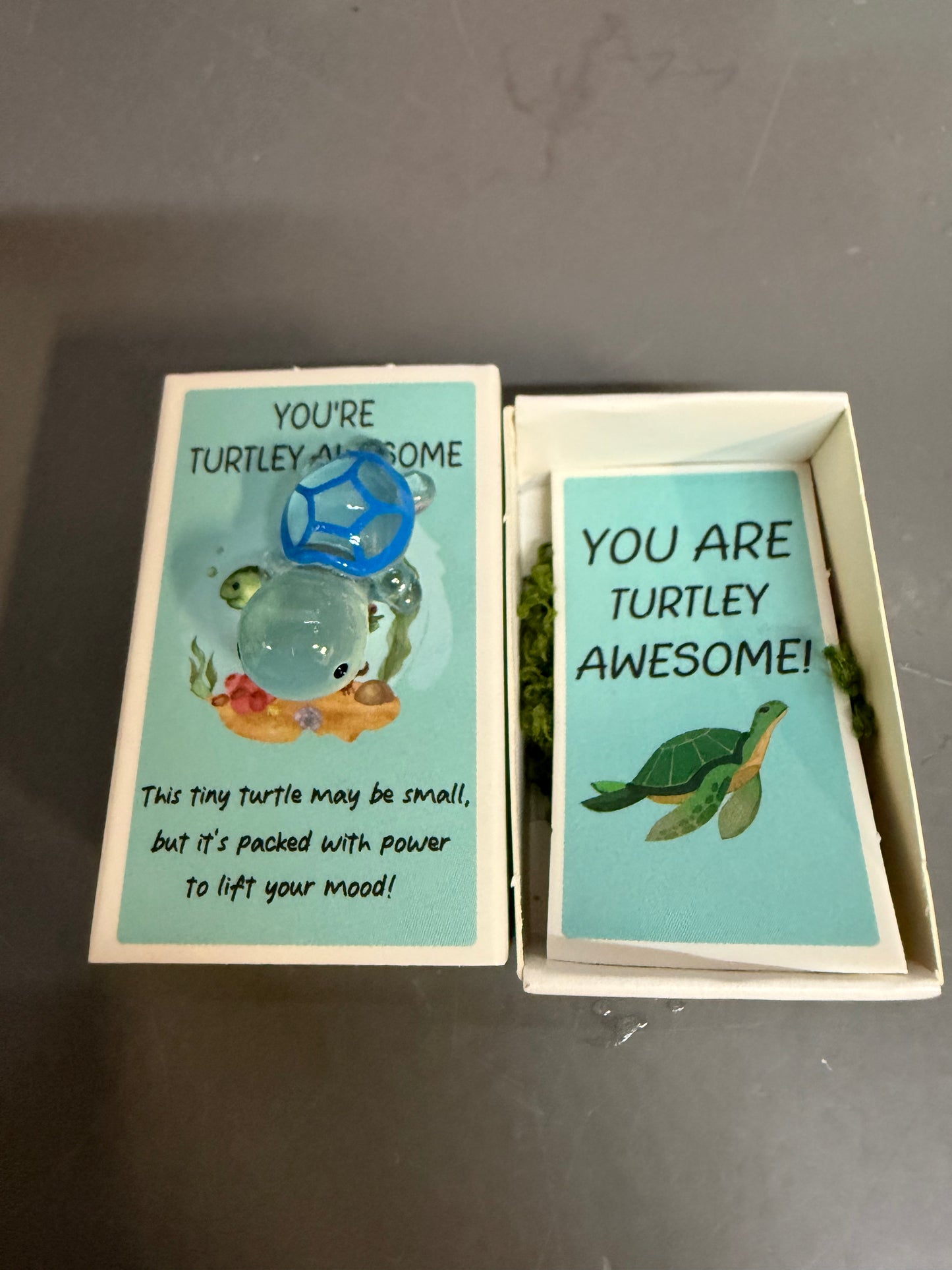 2 packages You are Turtley Awesome! Matchbox Gifts