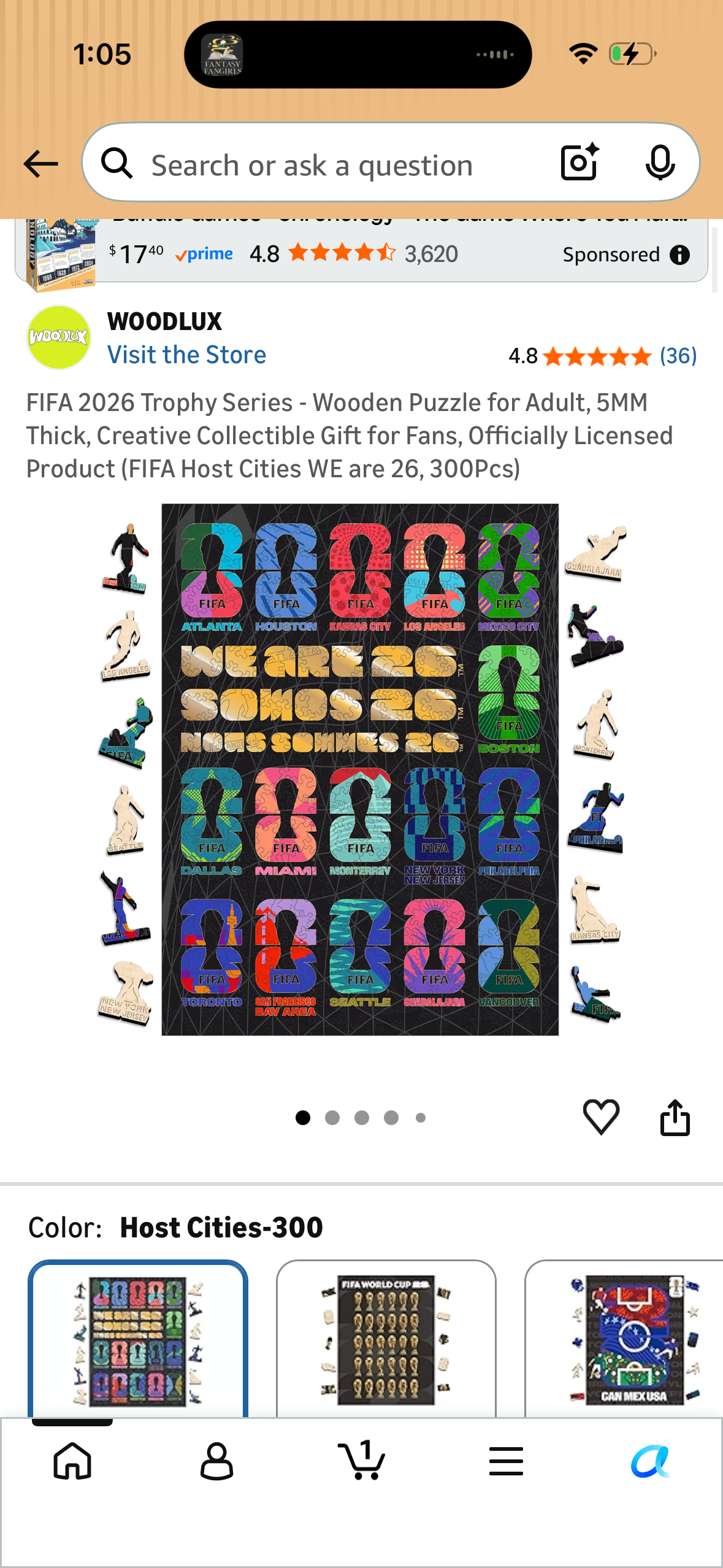 FIFA 2026 Trophy Series - Wooden Puzzle for Adult, 5MM Thick, Creative Collectible Gift for Fans, Officially Licensed Product (FIFA Host Cities WE are 26, 300Pcs)