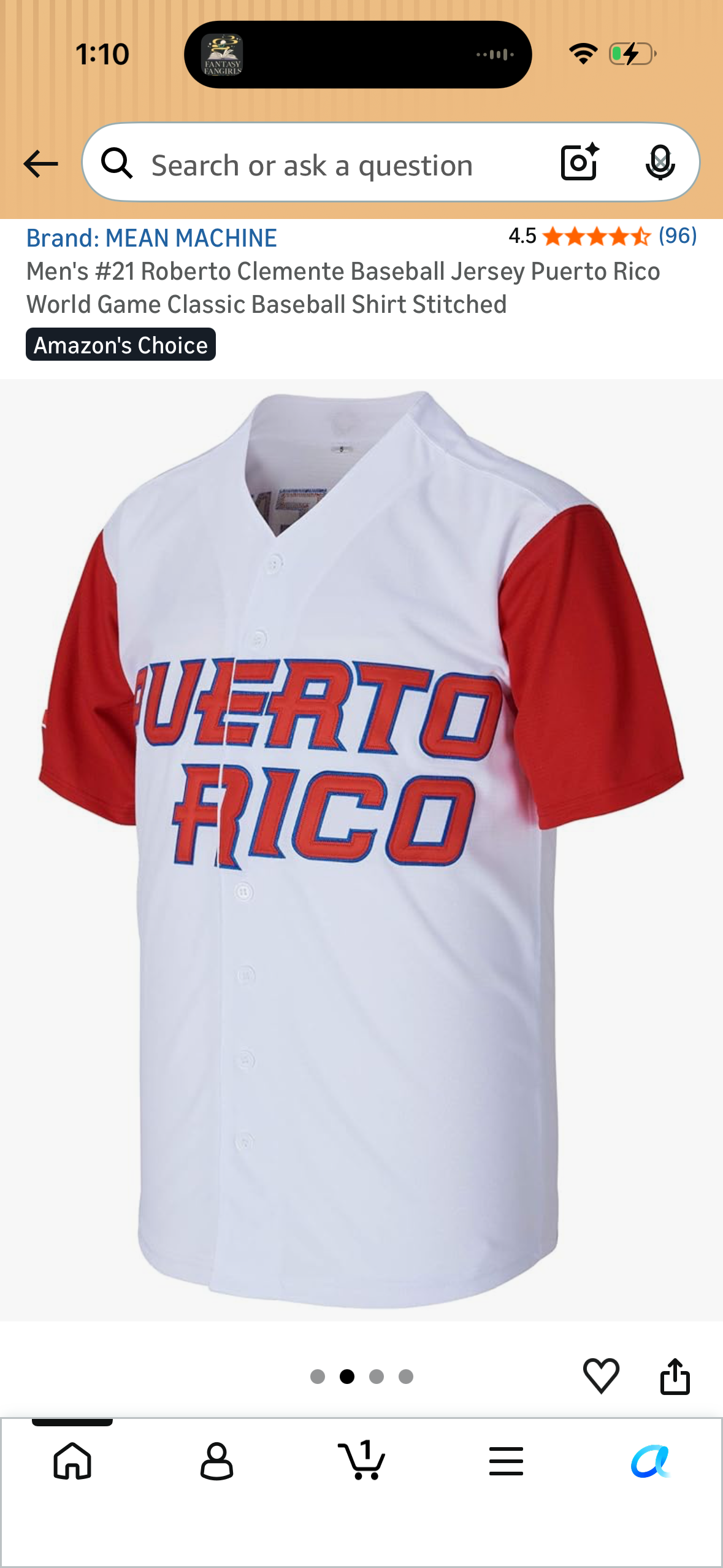 Men's #21 Roberto Clemente Baseball Jersey Puerto Rico World Game Classic Baseball Shirt Stitched (Size Large)