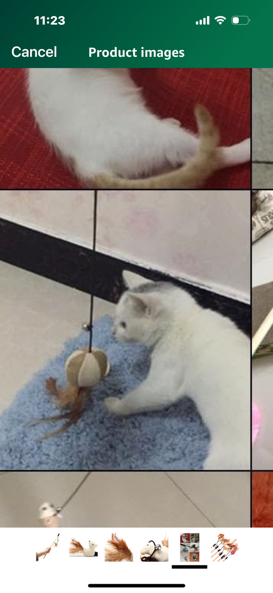 Cat Teaser Wand Cat Teaser Stick Cat Teaser Bell Cat Teaser Toy