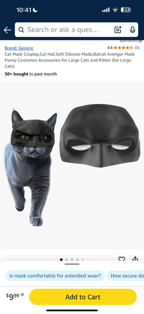 Cat Bat Mask
