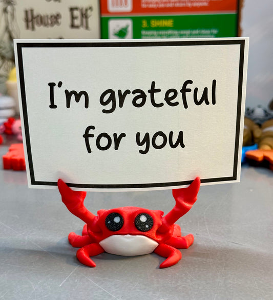 Shelly The Awkward Communicator Crab (And Notes)